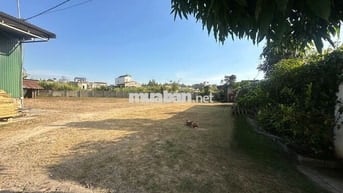 NHÀ XƯỞNG, MẶT BẰNG KINH DOANH