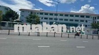Chính chủ bán đất đường Tên lửa mới . đối diện trường học BTDB. 6x20m