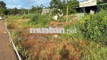 BÁN GẤP MẶT TIỀN ĐƯỜNG ĐT 753 DT 383,9M2 THỔ CƯ 100M, DÂN CƯ ĐÔNG.