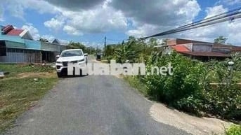 BÁN ĐẤT GÒ CÔNG – THÍCH HỢP TÍCH SẢN