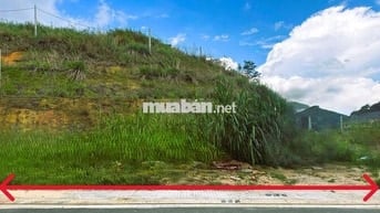 Bán Đất nền dự án tại An Sơn, Phường 4, Đà Lạt, : 278m2, 12,5tỷ