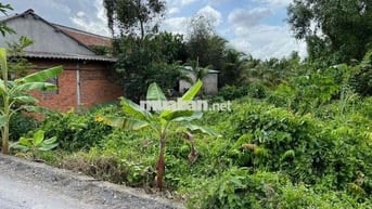 🔹 Chính chủ cần bán lô đất 851m thổ lúa xã Hựu Thạnh- Đức Hoà gần Đại