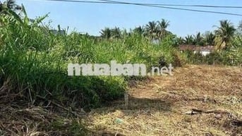 Nền 166m2 mặt tiền Trương Vĩnh Nguyên full thổ cư - 3 tỷ 300 tr (TL)