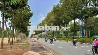 bán đất vành đai 4 chính chủ .bao sổ sách giá tốt