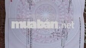BÁN 195M2 THỔ CƯ ĐƯỜNG Ô TÔ GẦN CHỢ CẦN ĐƯỚC GIÁ 500 TRIỆU