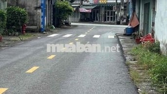 Cần bán 3500m2 đất vườn sẵn cây ăn trái và nhà vườn