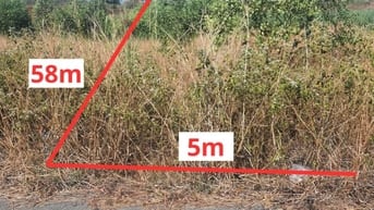 Công ty Đấu giá hợp danh Lam Sơn Sài Gòn THÔNG BÁO ĐẤU GIÁ TÀI SẢN