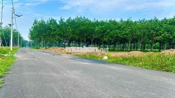 Chính chủ cần bán lô đất Chánh Phú Hoà giá tốt