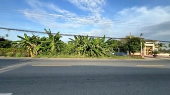 Bán đất tại Quốc lộ 91, Mỹ Phú, Châu Phú, An Giang, 35 tỷ, 1700 m2