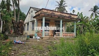 1.900m2 đất trong đó có 600m2 thổ cư có sẵn nhà cấp 4 đường xe hơi