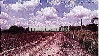 Bán ĐGTS đất tại TĐ số: 357, xã Xuân Bắc, tỉnh Đồng Nai