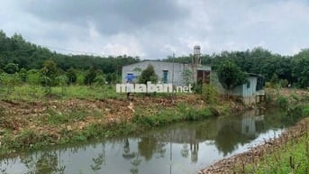 1,6 sào có vài cây Sầu, hơn 70m suối bao quanh. Rất gần Quốc lộ 13C
