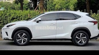 Lexus NX300 2019 màu trắng-5v