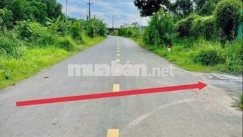 Đất sổ riêng thổ cư Phường Tân Triều