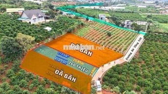 HÀNG HIẾM MÊ LINH VEN ĐÀ LẠT 230m2  sổ riêng thổ cư chỉ 750 triệu