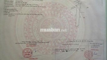 Đất trồng cây lâu năm + 374,8 m2 + ĐT 852