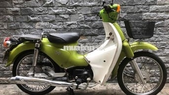 xe cup 50cc Tphcm