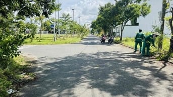 🔥CHỦ CẦN BÁN LÔ ĐẤT KHU BÁ TÙNG - Đường lê thì hiến. Giá 3 tỷ 350. CV