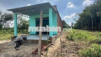 Chính chủ kẹt tiền cần bán đất tặng căn nhà cấp 4 mới xây
