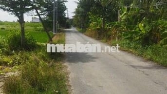 đất 2 mặt tiền 19/5 Tân Lân - full thổ