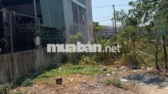 Đầu tư sinh lời lô đất ở khu vực An Phú Thuận An