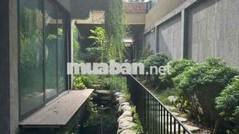 Cần bán: BIỆT THỰ MẶT PHỐ. THANG MÁY NHẬP KHẨU HỒ CÁ, BỂ BƠI KHÔNG GIA