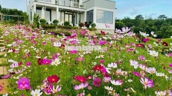 nhà biệt thự vườn 6.000m2 rất đẹp ven đà lạt
