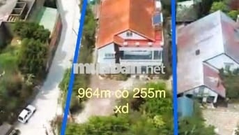 Bán đất kèm căn biệt thự cổ 2 mặt tiền Đống Đa P3 Đà Lạt.964m².65 tỷ