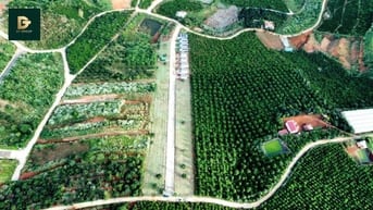 Đất nền săn mây cực đẹp tại xã Nam Ban (Mê Linh), sẵn sổ, sẵn thổ cư