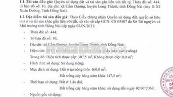 BĐS xã Cẩm Đường, huyện Long Thành, Đồng Nai (Xã Xuân Đường, Đồng Nai)