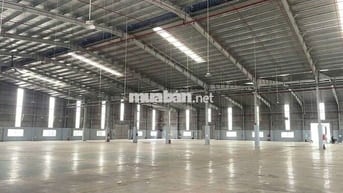 Cho thuê xưởng 8800m2 tại Bắc Tân Uyên Bình Dương