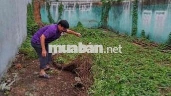 ĐẤT SỔ ĐỎ 92.5m2 thổ cư 64.7m2.  Bình Hoà 11, Bình Dương