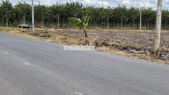 EM ĐANG SẴN VÀI LÔ CHƠN THÀNH BÌNH PHƯỚC CẦN ĐẨY NHANH -SỔ RIÊNG