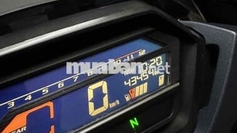 Winner X 2021