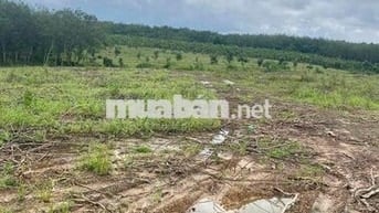🔥 7,6 mẫu  (76,141m2) - Gò Đất Cao hơn 2,3m-Tân Châu , Tây Ninh