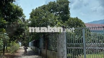 Bán Đất Núi Chứa Chan Xuân Lộc Đồng Nai 150m2 Thổ cư sổ riêng