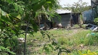 Bán đất thổ cư giấy tờ sổ hồng hợp lệ