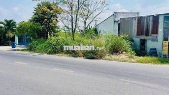 Chủ cần bán gấp lô đất 500m2 980triệu Nguyễn Kim Cương, Tân Thạnh Đông