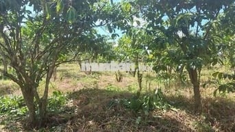 Đất thôn 2 Tân Lạc sẵn thổ cư giá cực ngộp