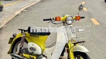🩷 Honda Cub Nhật 50cc_Biển số 43_Đã lên đề