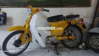 honda cup