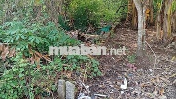Nền hẻm nhánh Nguyễn chí thanh trà nóc