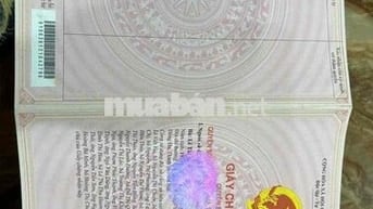 Chỉ 1,35 tỷ có căn CCMN Sổ Hồng Chung Phôi Riêng