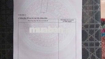 chính chủ bán đất 126/7 Tống Duy Tân kiệt Ô TÔ sát chợ hoà mỹ