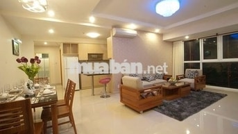 Cho thuê khu căn hộ Chánh Hưng - Giai Việt, 115m2, 2PN, NTCB