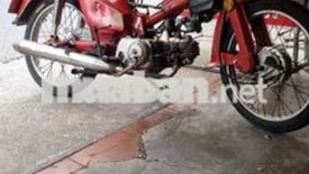70 đỏ