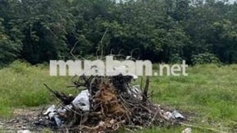 ĐẤT HIỆP AN BÌNH DƯƠNG 5x49 THỔ CƯ 61M. 1/ PHAN ĐĂNG LƯU