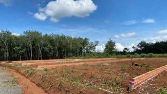 Đất nền mặt tiền 390m2, 100m2 thổ cư. tiện ích đầy đủ, dân cư hữu
