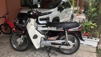 bán dream thái tem hồng