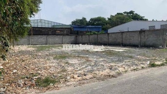 CHỦ BÁN NHANH LÔ ĐẤT 202m² TÂN THÔNG HỘI – SANG NƯỚC NGOÀI ĐỊNH CƯ